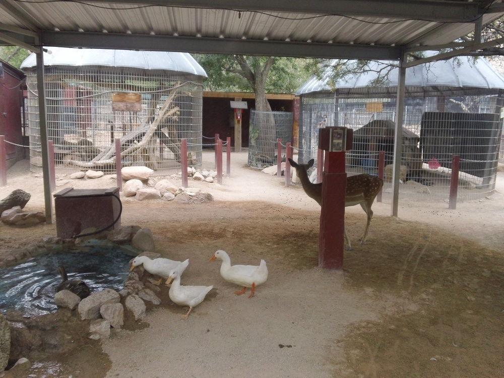 Blue Diamond Bonnie Springs Ranch Motel المظهر الخارجي الصورة