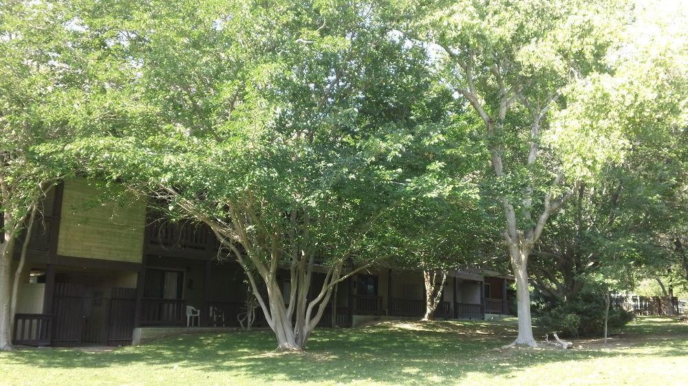Blue Diamond Bonnie Springs Ranch Motel المظهر الخارجي الصورة