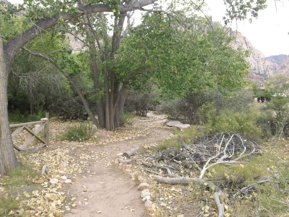 Blue Diamond Bonnie Springs Ranch Motel المظهر الخارجي الصورة