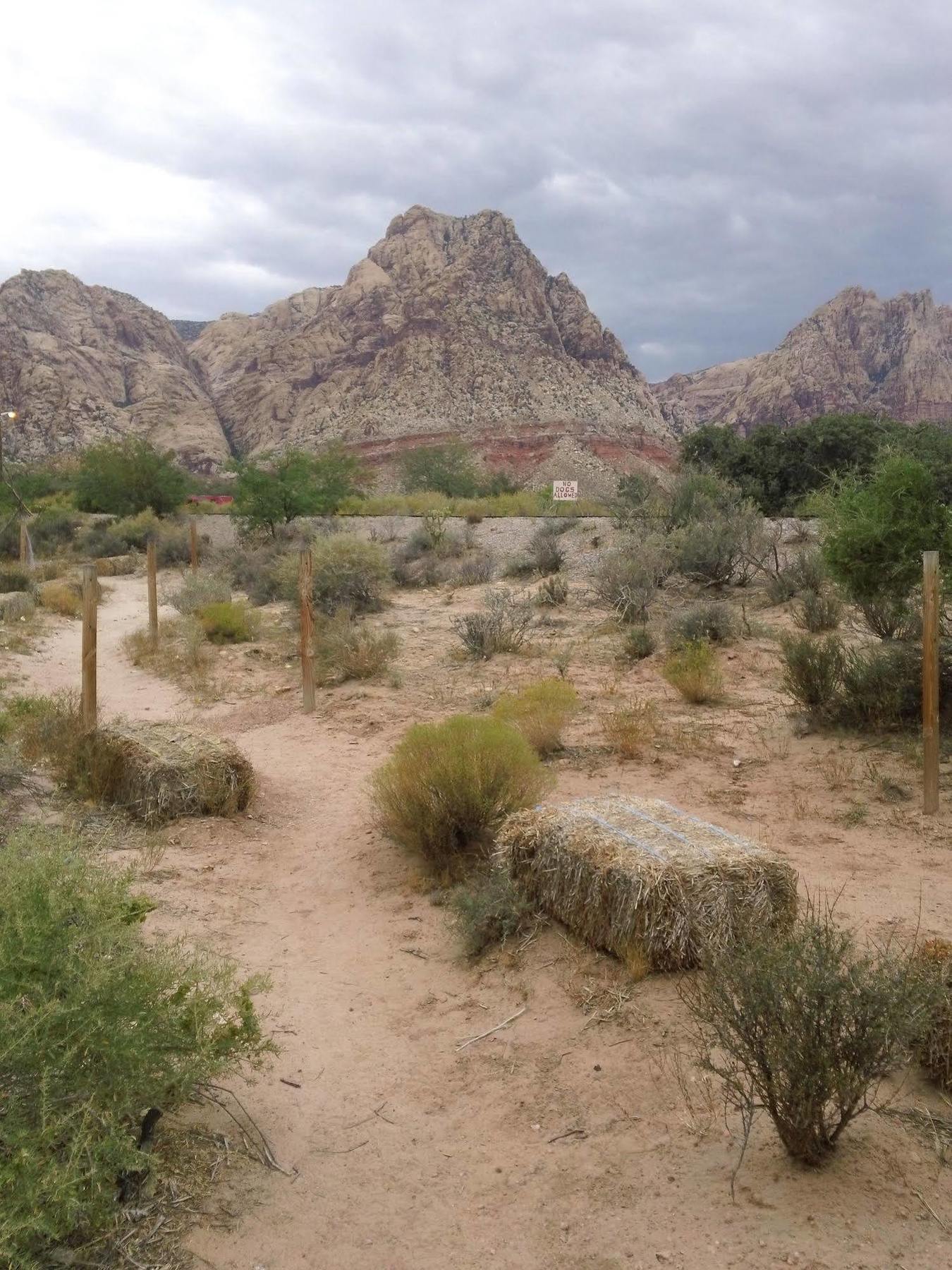 Blue Diamond Bonnie Springs Ranch Motel المظهر الخارجي الصورة